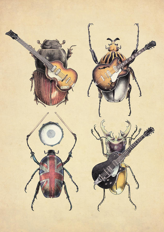 Meet the Beetles by Eric Fan