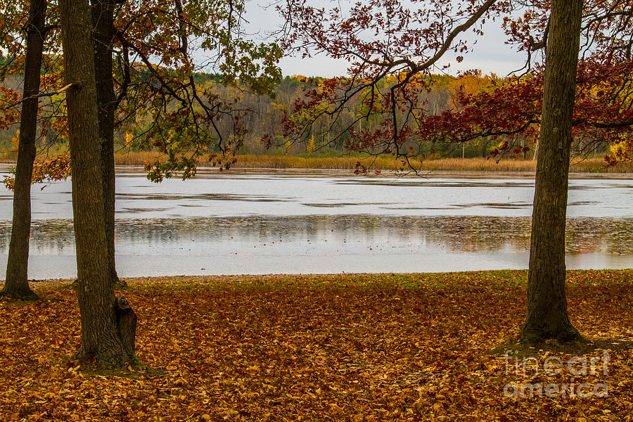 Mendon Ponds Photograph by William Norton