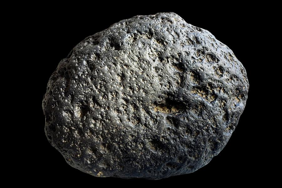 Meteorlte Meteorite by Dr Morley Read / Science Photo Library