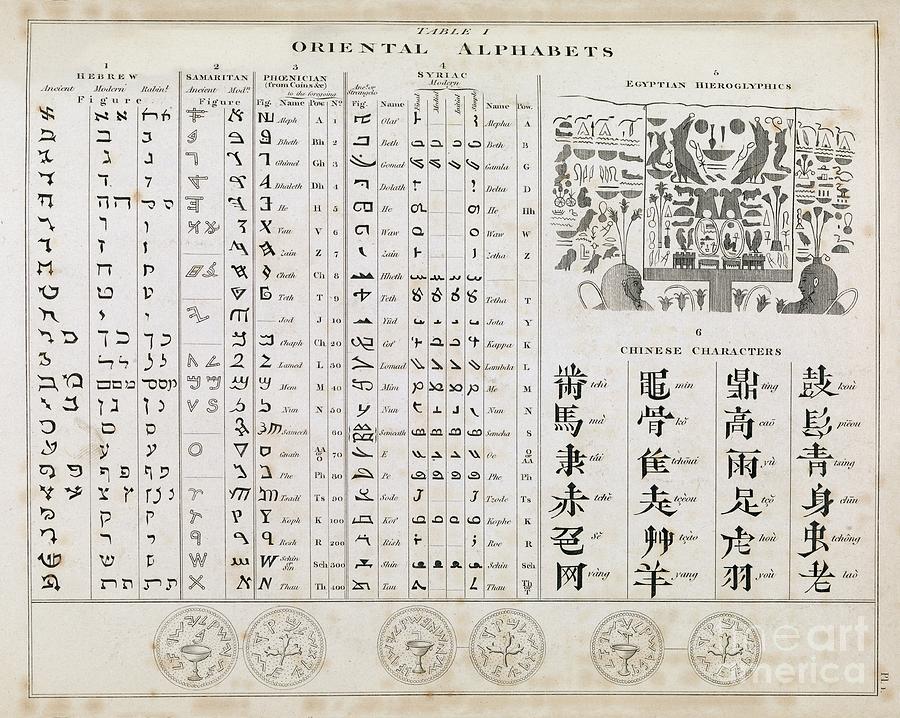 Eastern Alphabet Lettering Evolution Of Middle Eastern Alphabets Lettering Alphabet Alphabet