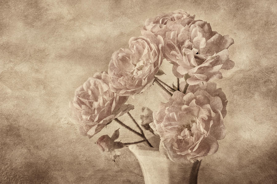 Vintage Bouquet in Sepia Tones Photograph - Miniature Rose Bouquet by Mary Jo Allen
