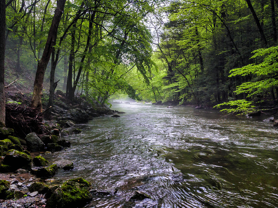 Mist on the River of Life Photograph by Louis Dallara