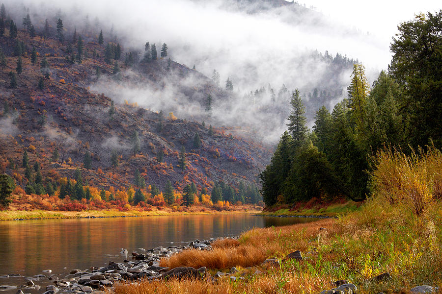 Misty Autumn River Landscape Photograph - Misty Montana Morning by Mary Jo Allen