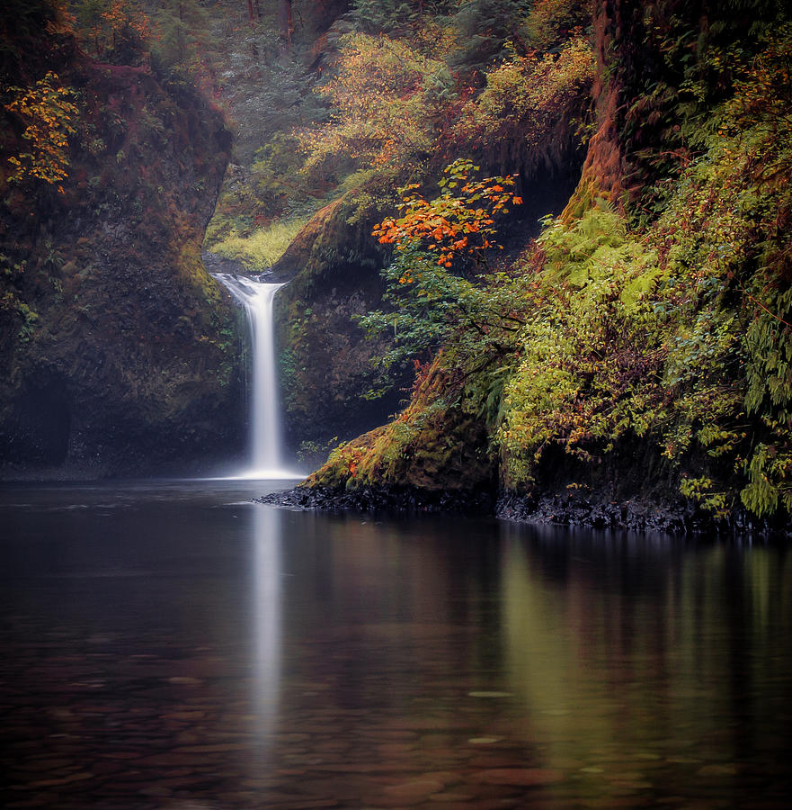 Misty Waterfall In Autumn, Columbia by Michael Riffle