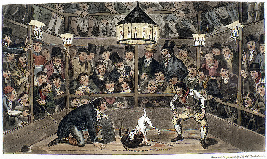 Monkey-baiting, 1821 by Granger