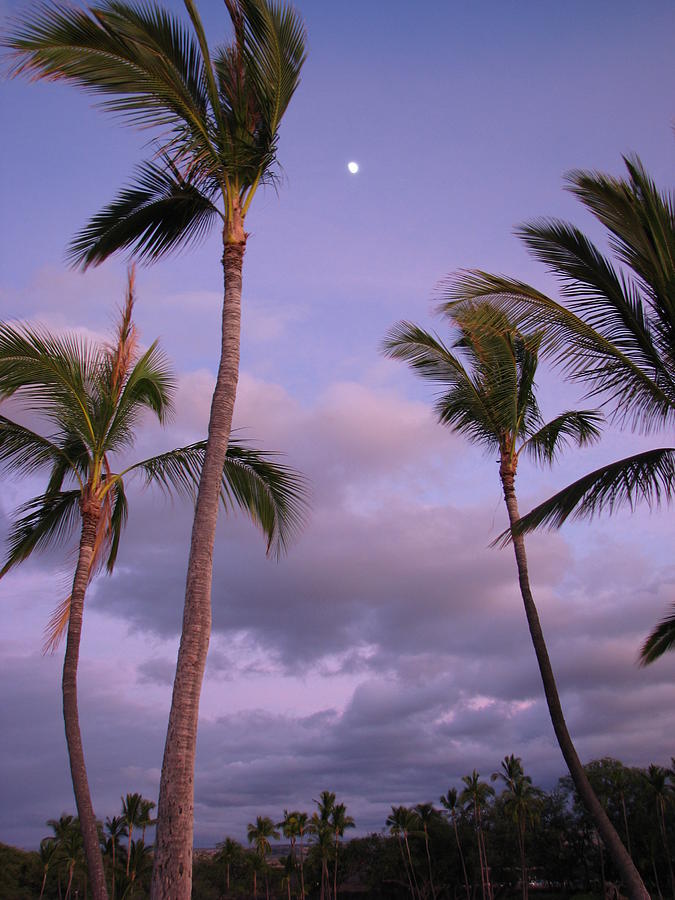 Moon over Anaehoomalu Bay Photograph by Jeff Stoddart
