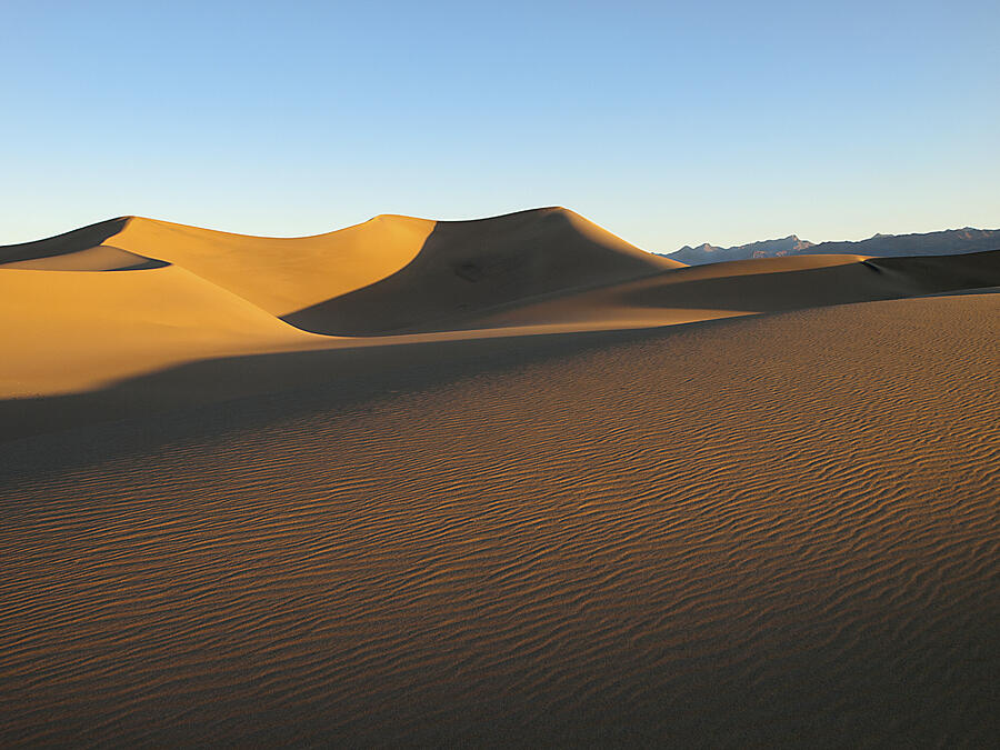 Morning Shadows Photograph by Joe Schofield