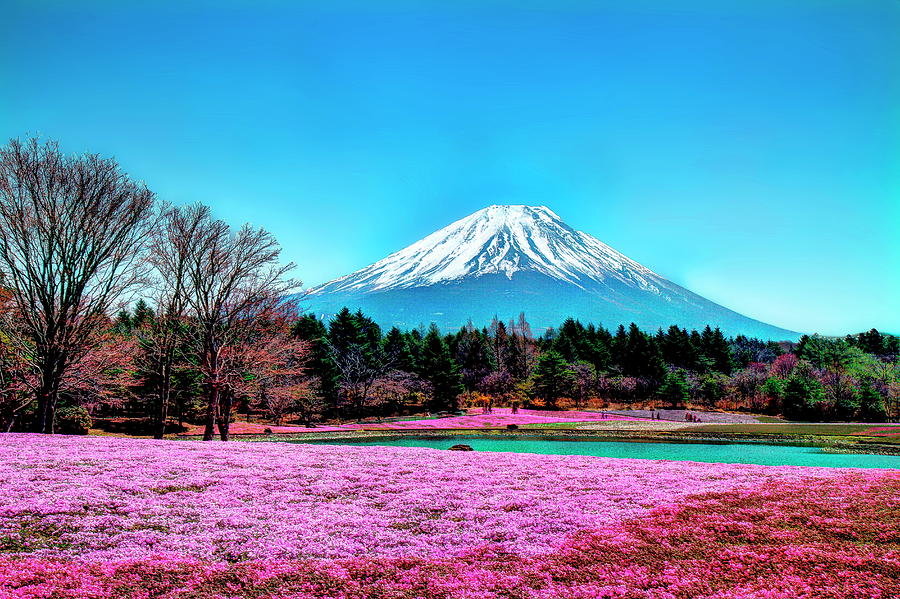 Mount Fuji In Spring And Blue Sky by MichaAl Ducloux