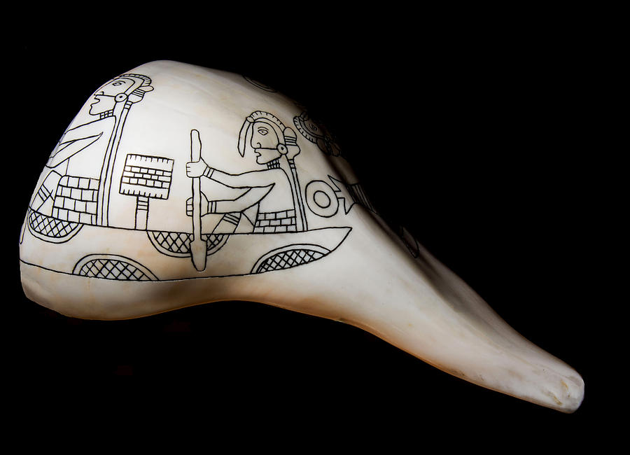 Native American Engraved Conch Shell by Millard H. Sharp