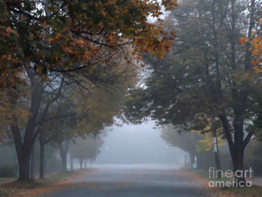 Neal Street in Fog Photograph by Roche Fine Art