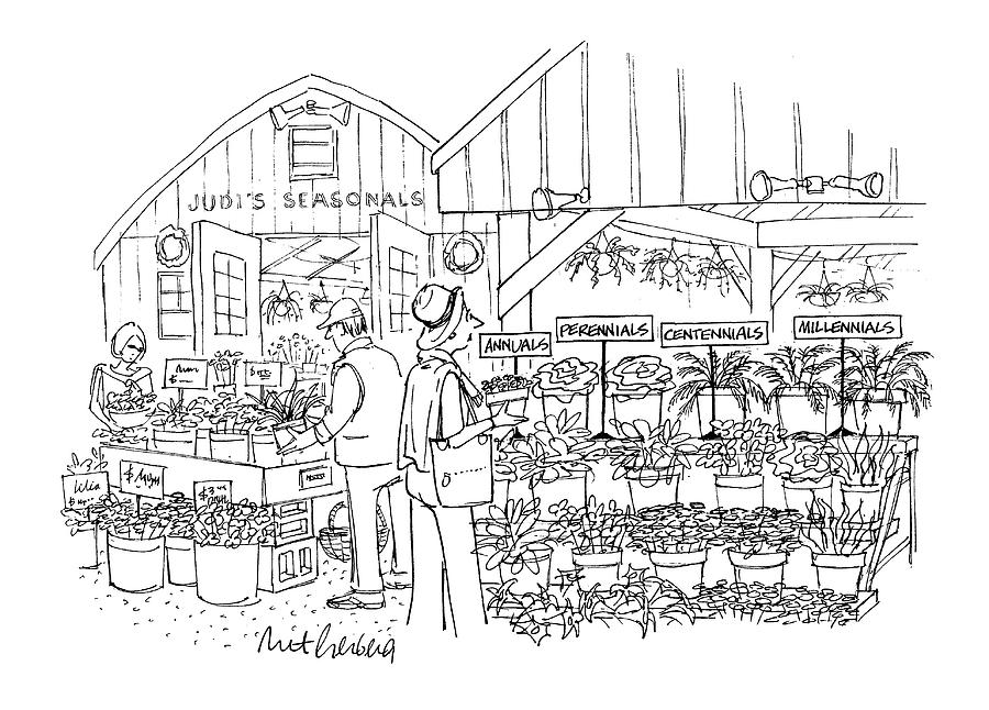 Garden Store Selection Humor Drawing - New Yorker April 12th, 1999 by Mort Gerberg