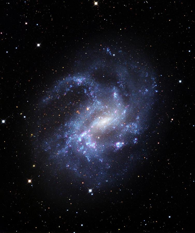 Ngc 4395 Galaxy by Adam Block / Mount Lemmon Skycenter