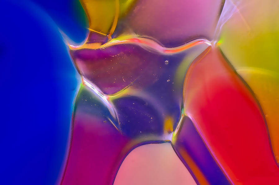 Noble Colors Photograph by Omaste Witkowski