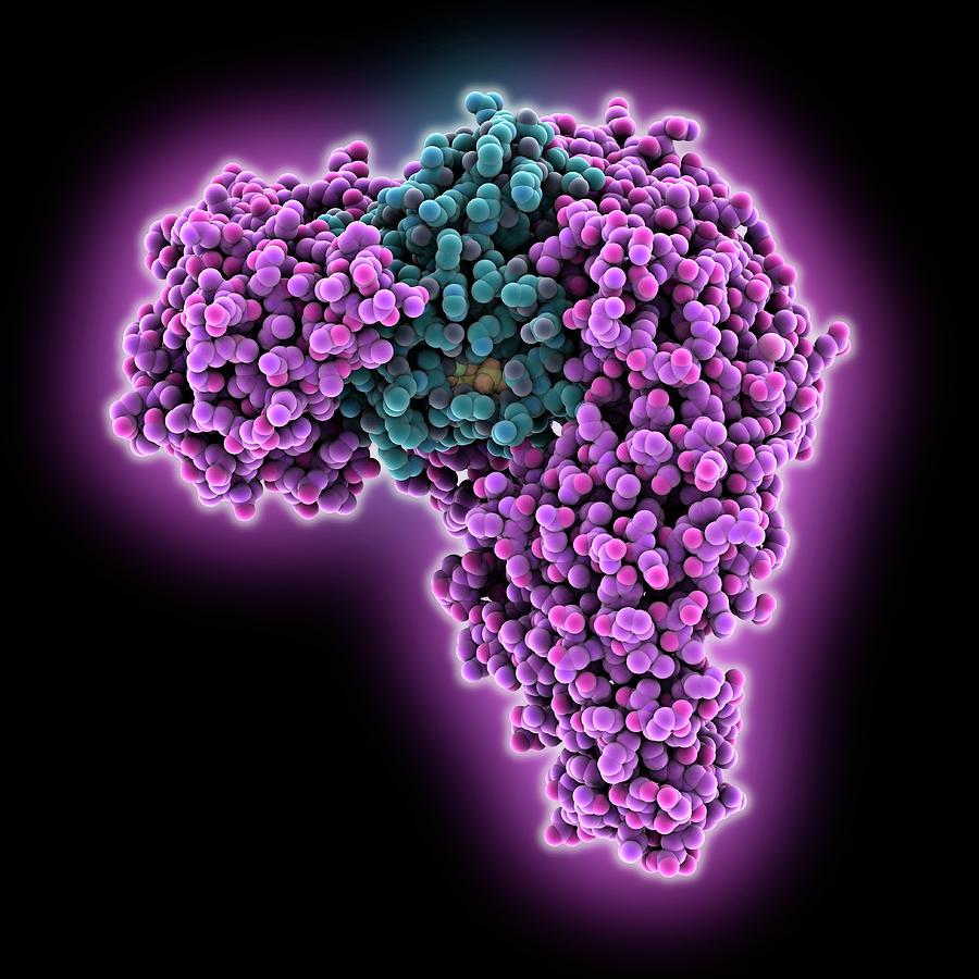 Science Import Nuclear Import Complex Molecule by Laguna Design / Science Photo Library