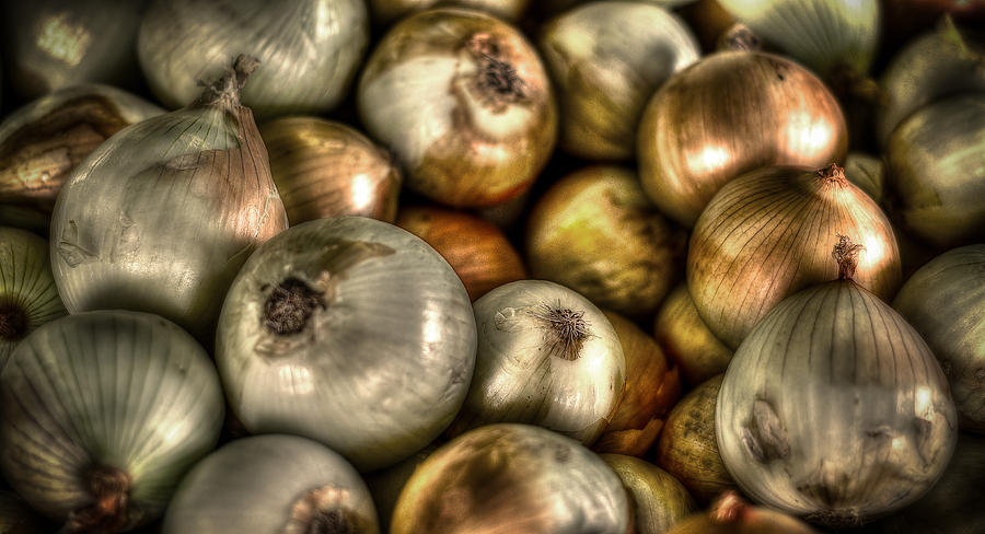 A Variety of Onions Photograph - Onions by David Morefield