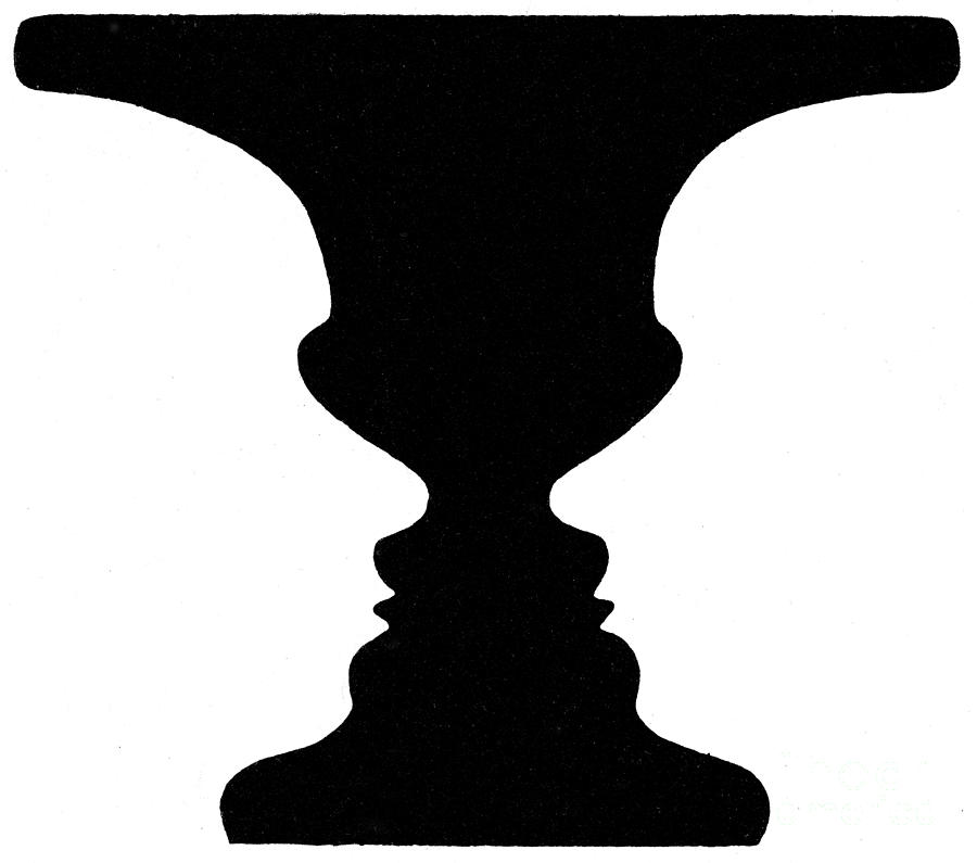 Optical Illusion Rubins Vase 1915 by Science Source