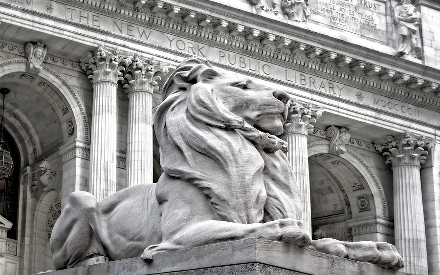 Lion Statue at New York Public Library Photograph - Patience The NYPL Lion by Susan Candelario