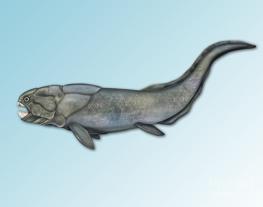 Placoderm, Extinct Fish by Gwen Shockey