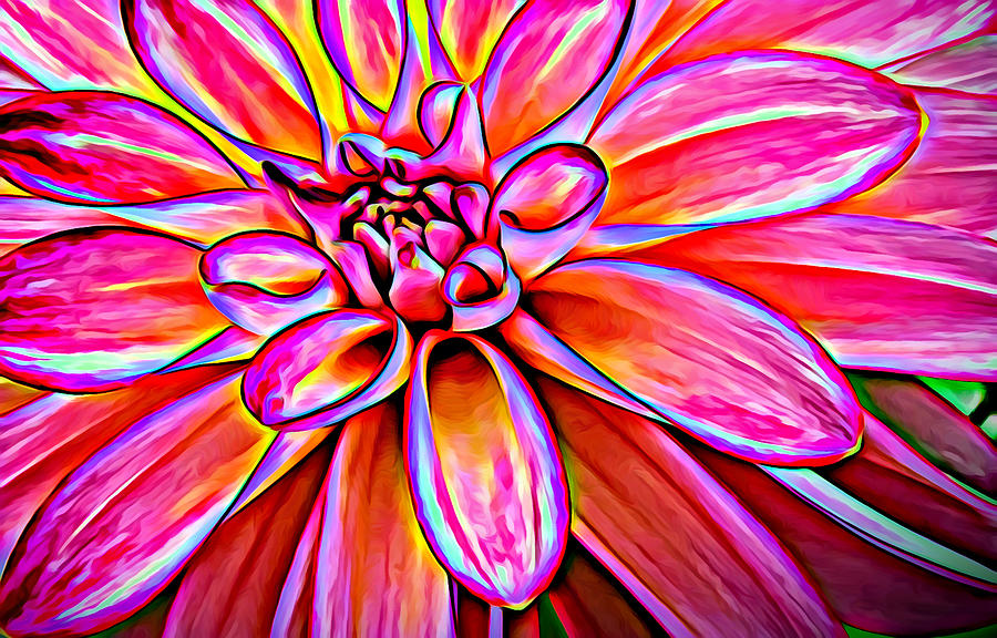 Pop Art Dahlia Photograph by Mary Jo Allen
