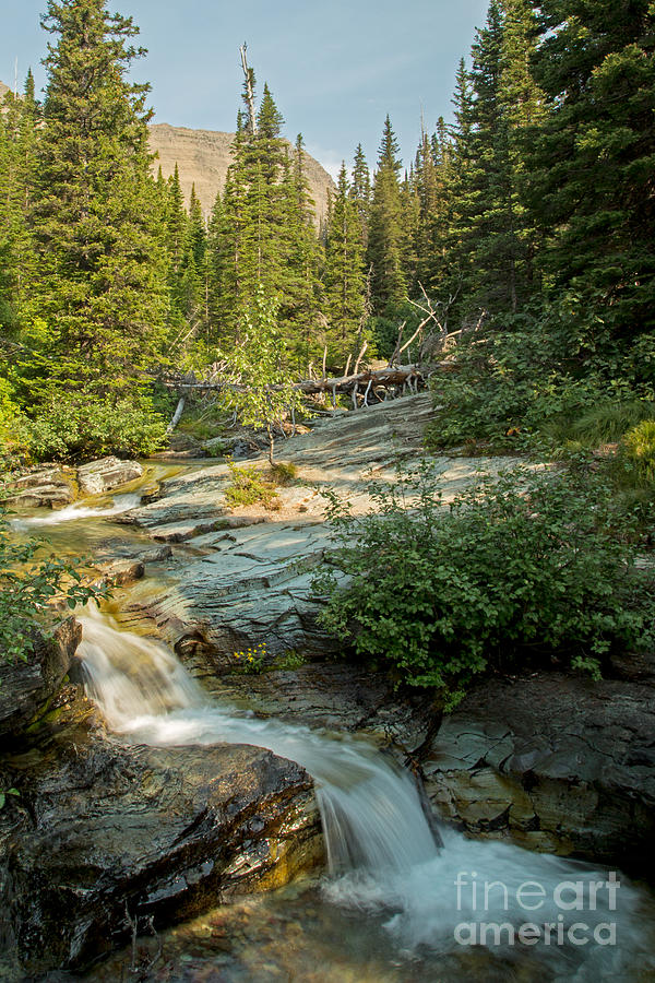 Ptarmigan Falls Photograph by Natural Focal Point Photography