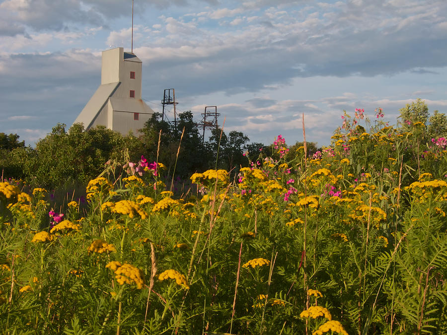 Historic Mining Tower and Summer Flowers Photograph - Quincy Mine by Mary Lee Dereske