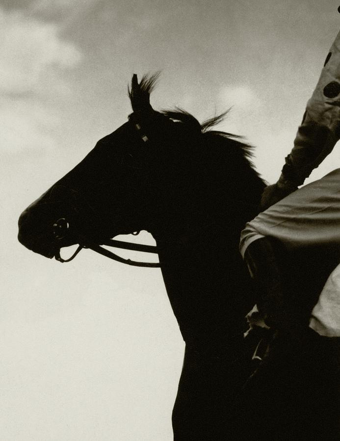 Silhouette of a Horse and Rider Photograph - Race Horse Gallant Fox by Edward Steichen