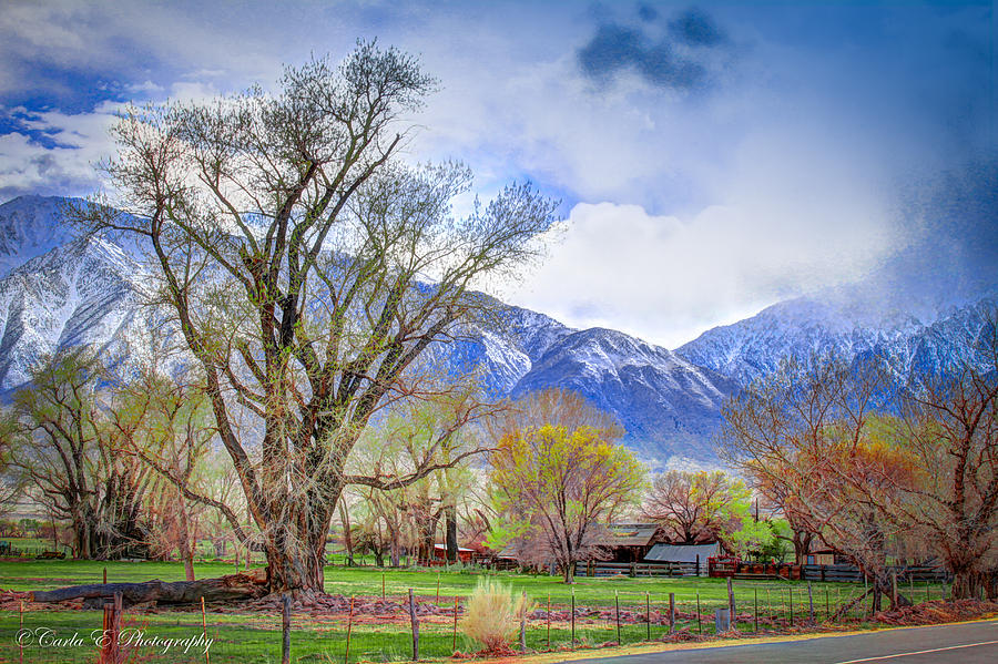 Ranch in Early Spring Photograph by Carla E