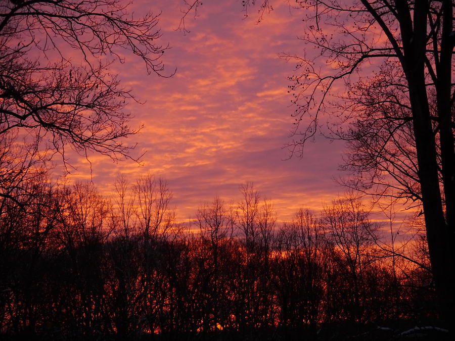 Red Sky at Night Photograph by Richard Reeve