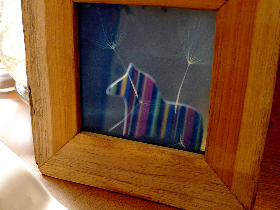 Reflections of The Rainbow Horse Photograph by Richard Reeve