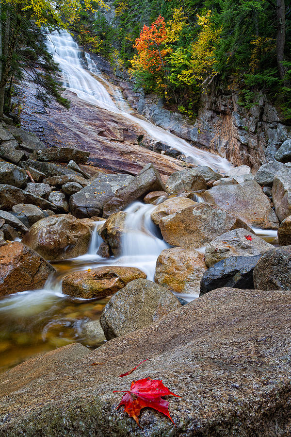 Ripley Falls And Red Maple Leaf Photograph by Jeff Sinon