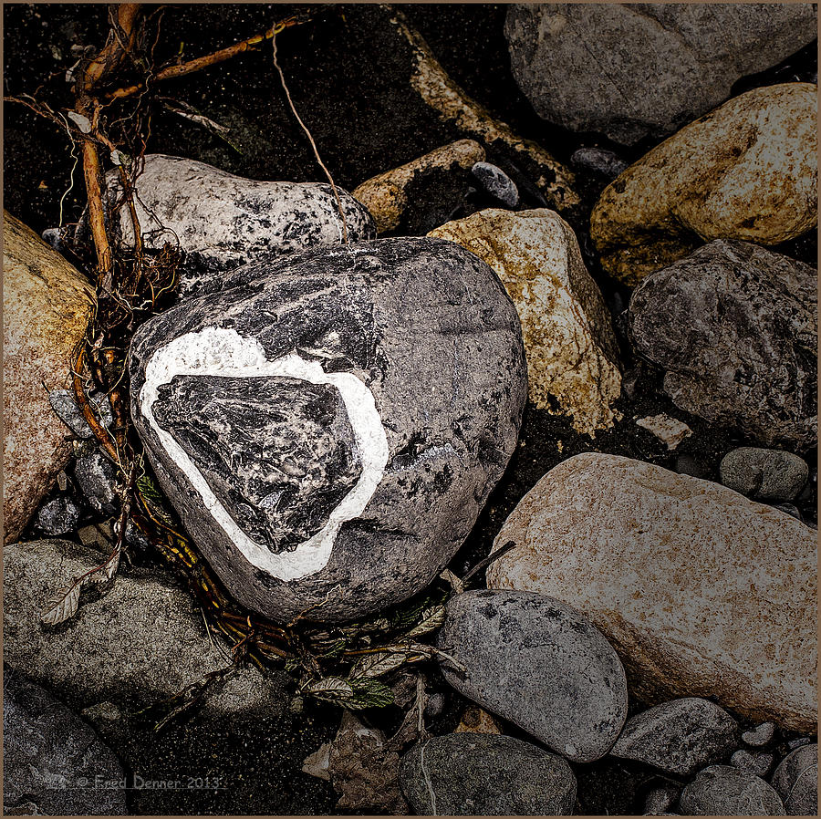 River Rock Photograph by Fred Denner