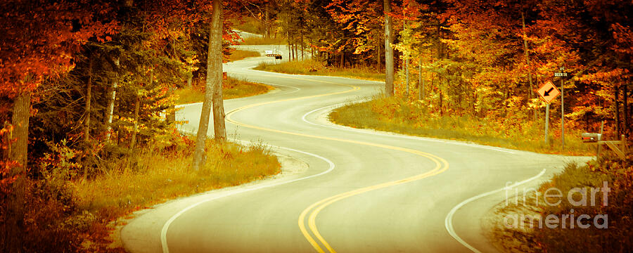 Road Bending Through The Trees Photograph by Duluth To Door County Photography