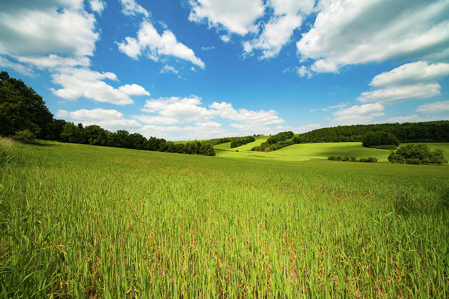 Background Rural Scene Rural Scene by Wladimir Bulgar / Science Photo Library