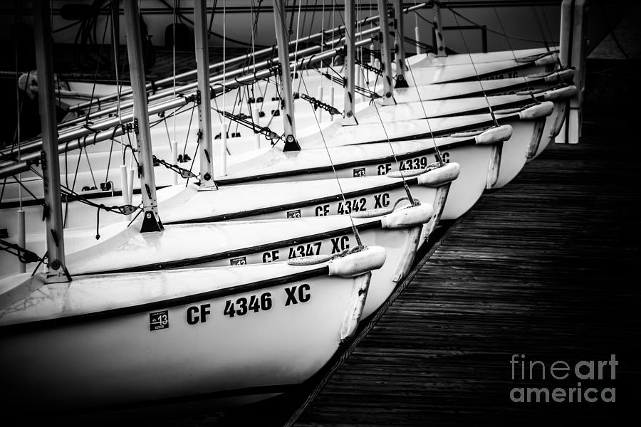 Sailboats in Newport Beach California Picture Photograph by Paul Velgos