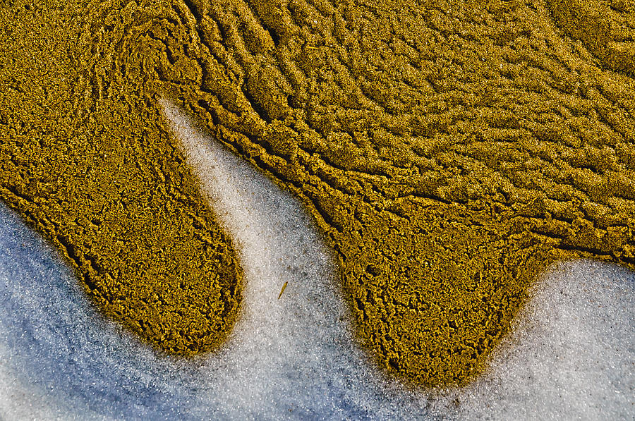 Sand Abstract Photograph by Louis Dallara