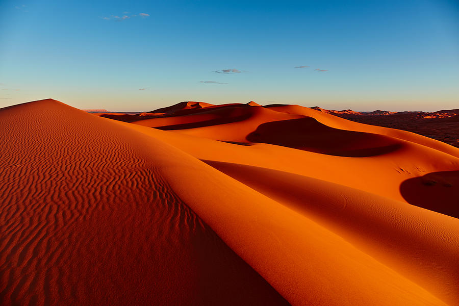 Sand Dunes In The Sahara Desert by Arturnyk