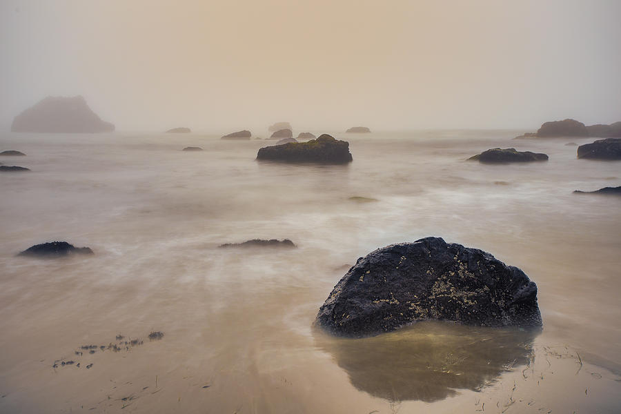 Sehnsucht Photograph by Adam Mateo Fierro