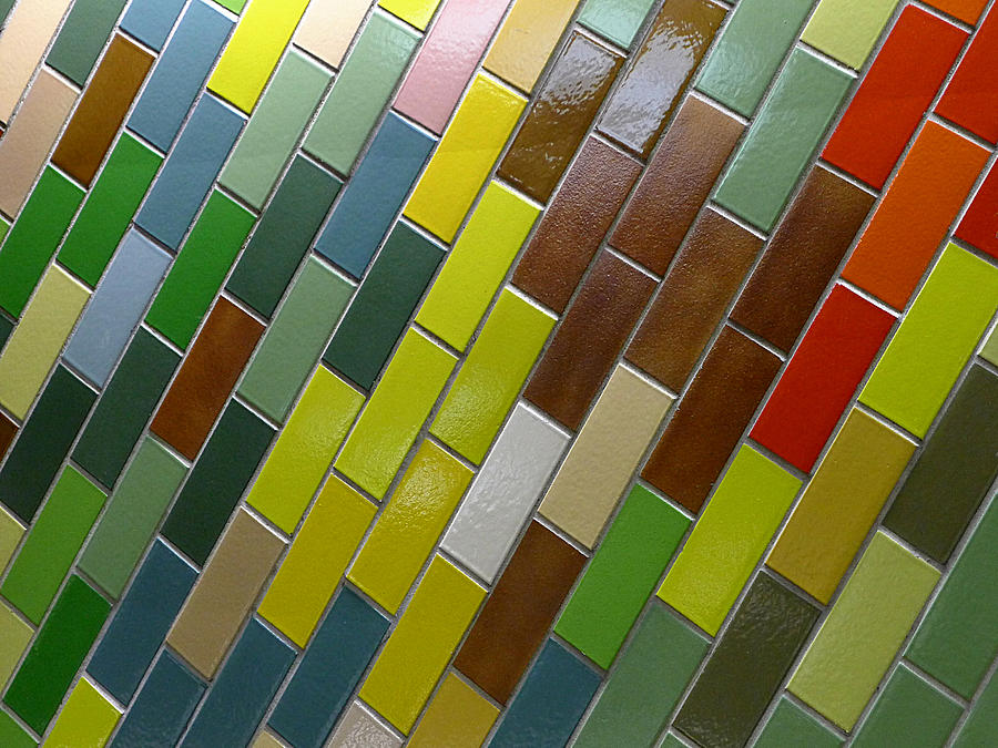 Septa Artwork Photograph by Richard Reeve
