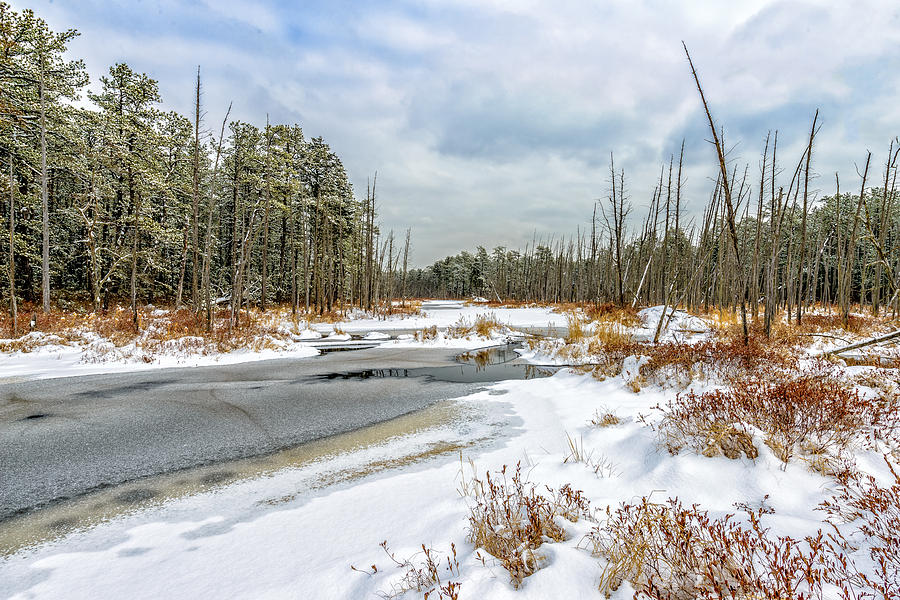 Snow on Roberts Branch Photograph by Louis Dallara