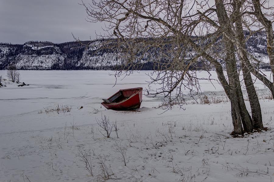 Stuck Photograph by Linda Ryma