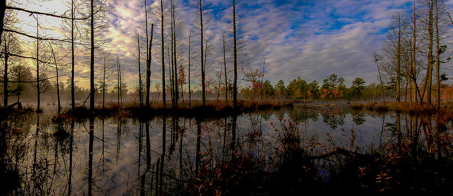 Sunrise along the Mullica river in Pinelands Photograph by Louis Dallara