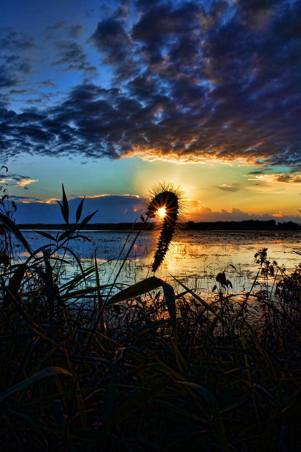 Sunset over the Refuge Photograph by Dale Kauzlaric