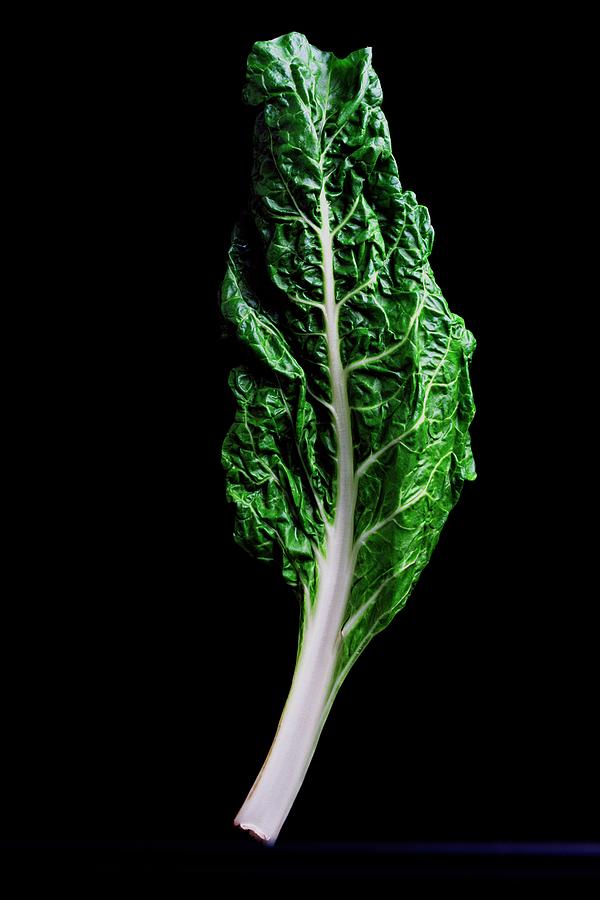 Vibrant Chard Leaf Photograph - Swiss Chard by Romulo Yanes