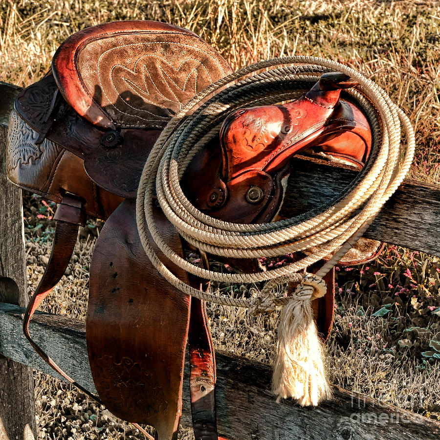 Vintage Western Saddle and Rope Photograph - Texas Morning by Olivier Le Queinec