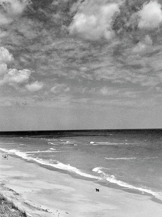 Serene Black and White Beach Scene Photograph - The Beach At Hobe Island by Serge Balkin