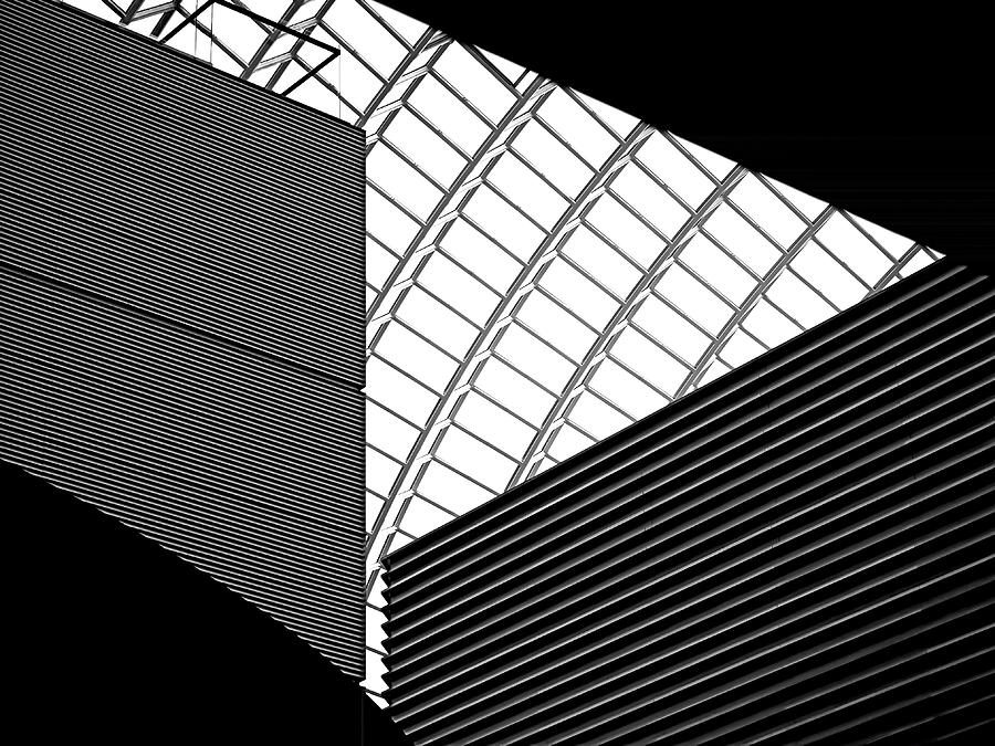 The Road Ahead Photograph by Rona Black