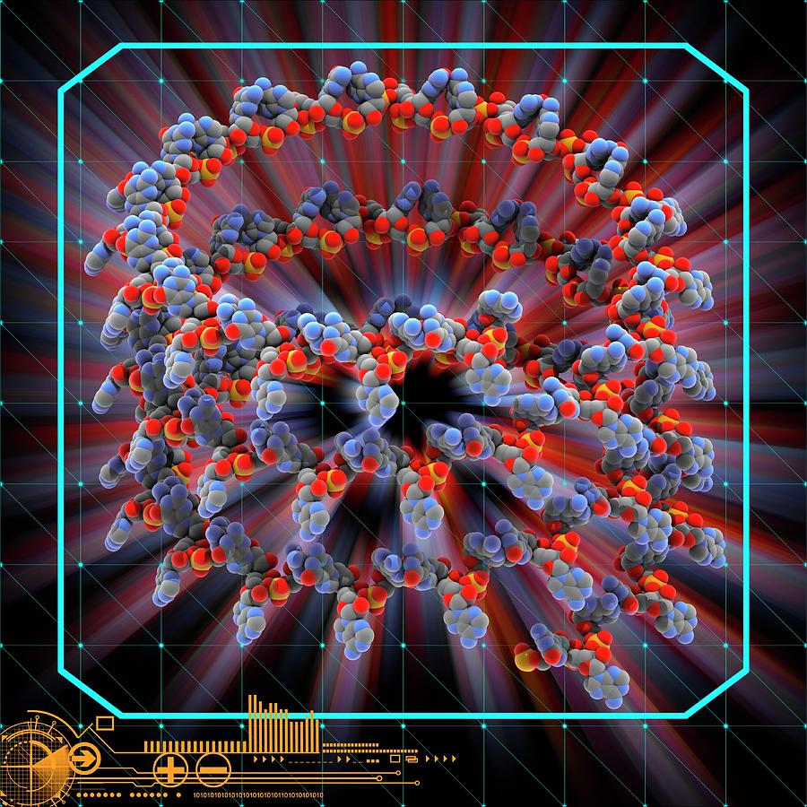 tobacco mosaic virus rna Tobacco Mosaic Virus Rna Molecule by Laguna Design / Science Photo Library