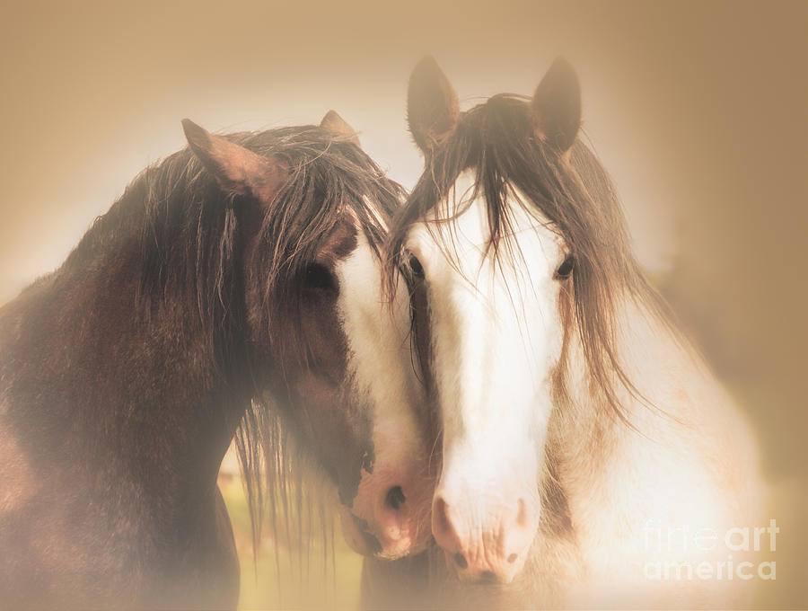 Together Photograph by Kype Hills