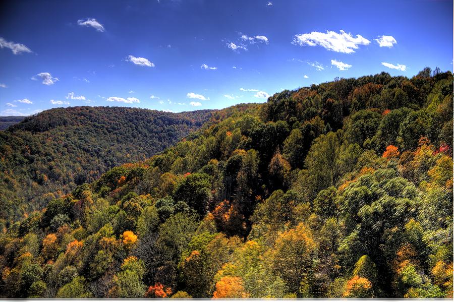 Trees Over Rolling Hills Photograph by Jonny D