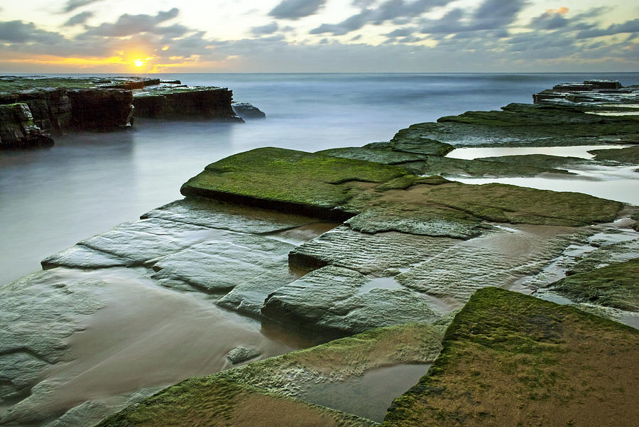 Turimetta Beach Sunrise Photograph by Nicholas Blackwell